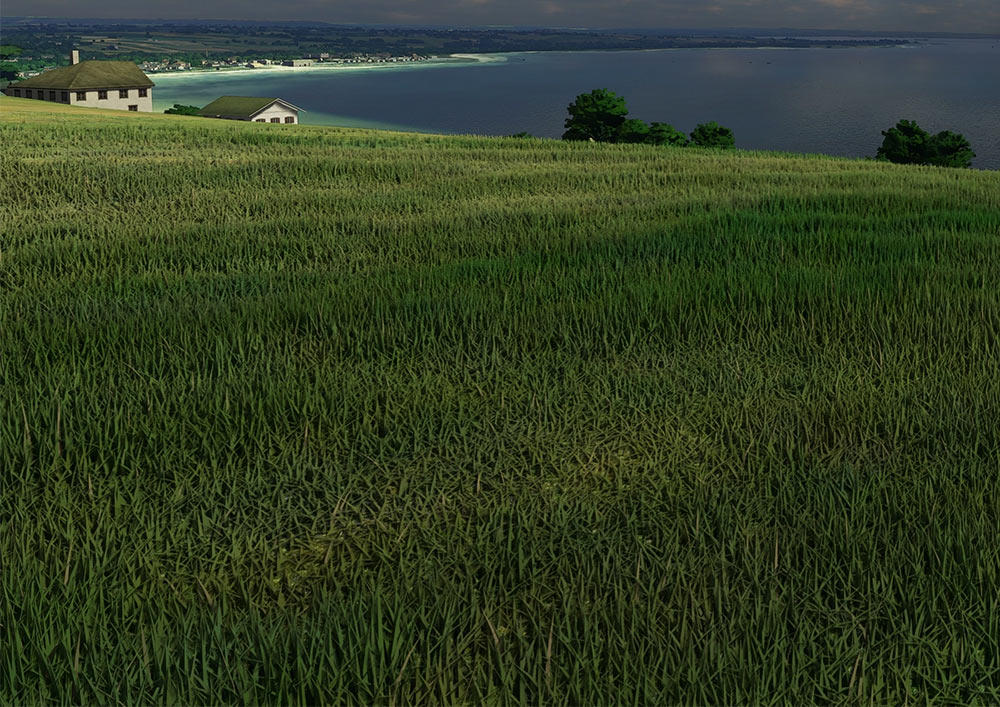 Grass in Flight Simulator 2020